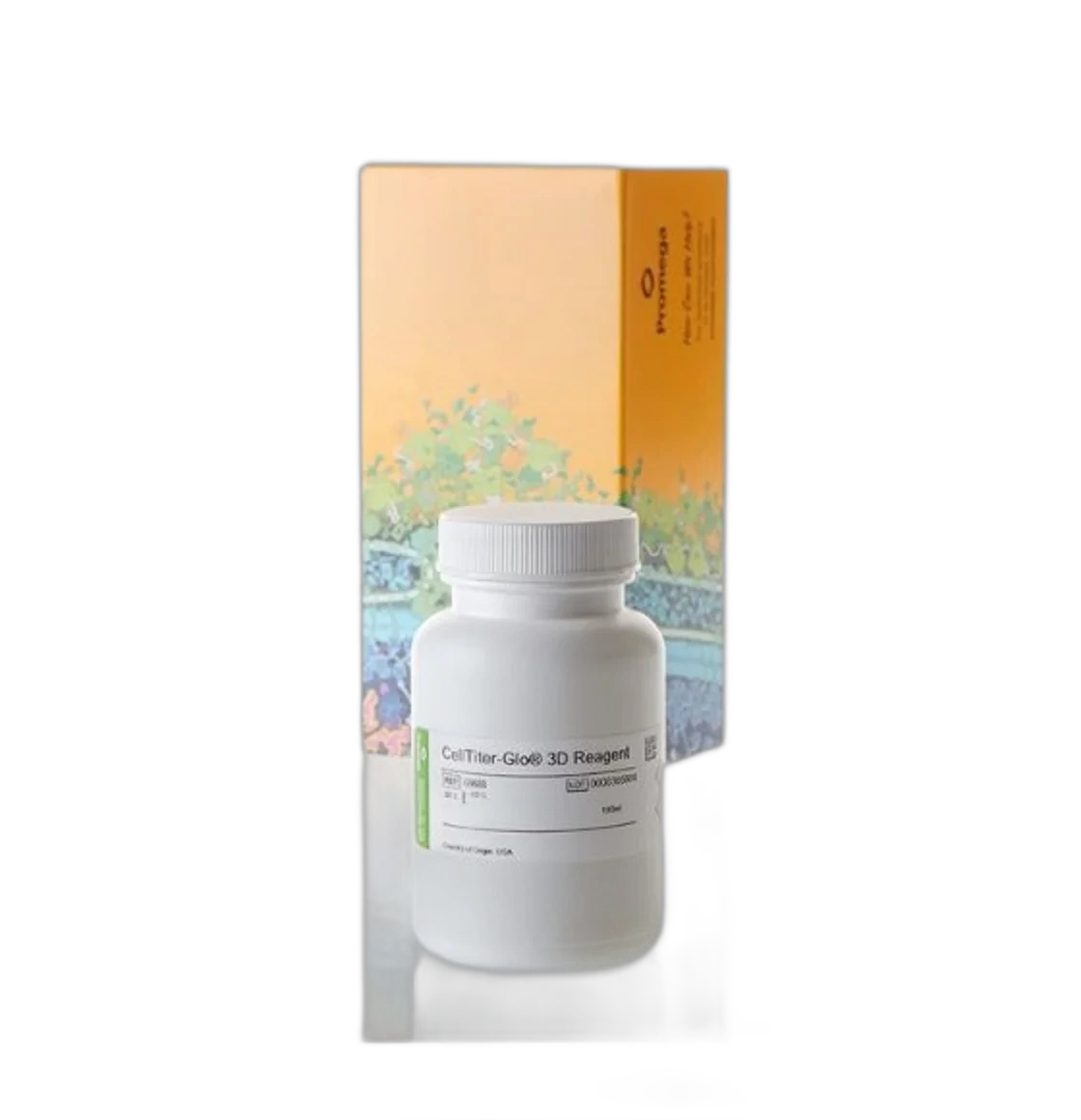 3D Cell Culture