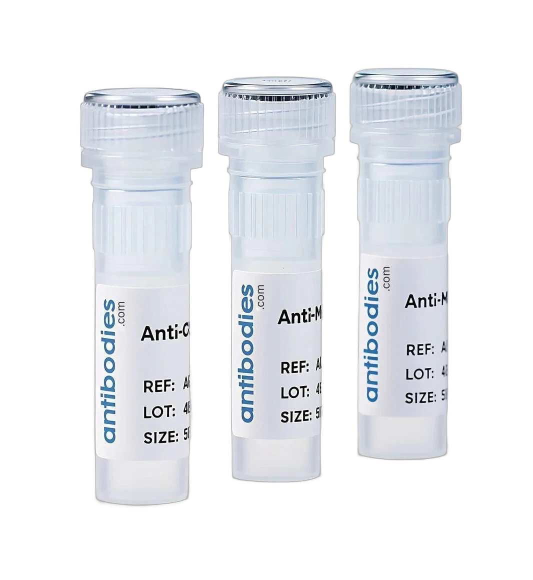 Antibodies