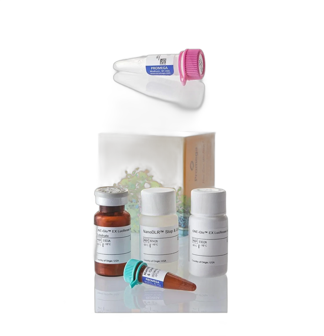 Cell Analysis & Reporter Assays