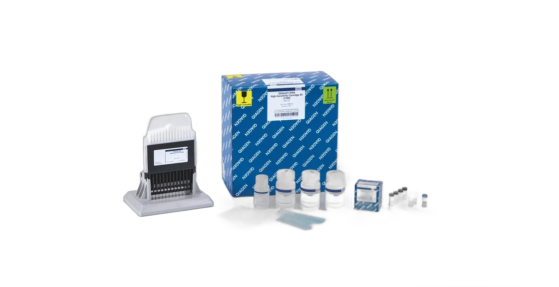 Electrophoresis Consumables