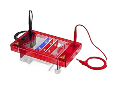 Syngene Horizontal & Vertical Electrophoresis
