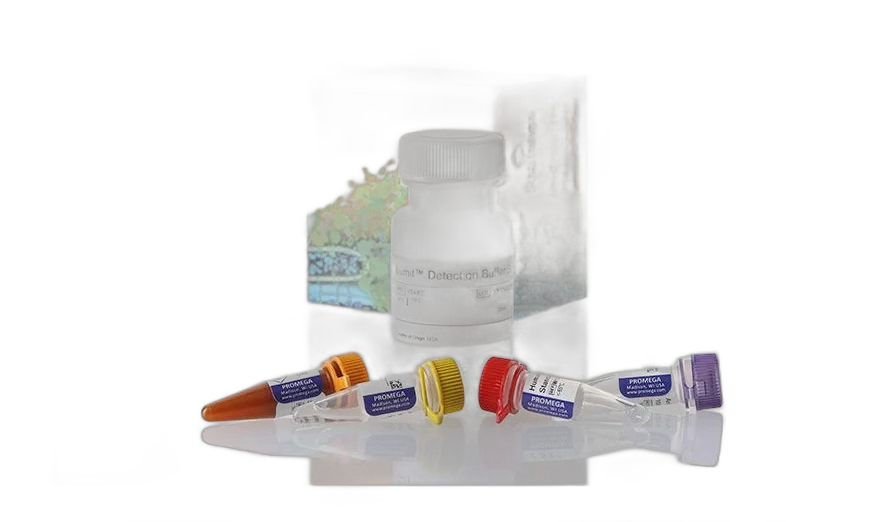 ELISA & Immunoassays