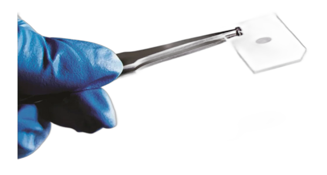 Nicoya High Sensitivity Sensors