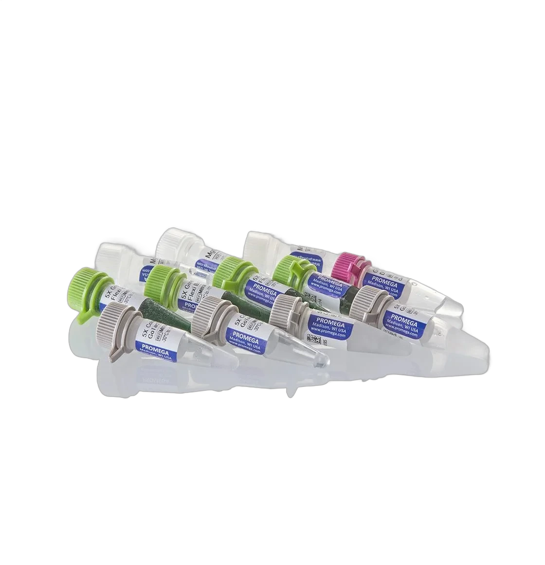 Molecular Biology Reagents