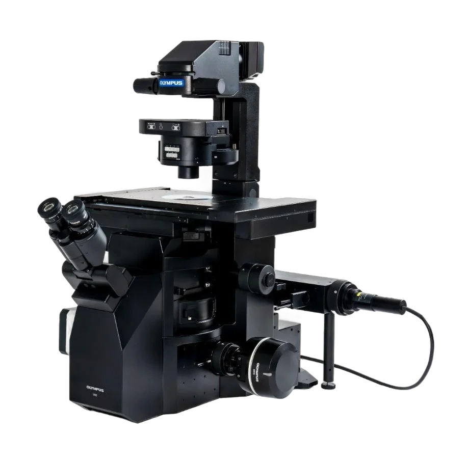 Olympus (Evident) Inverted & Stereo Microscopes