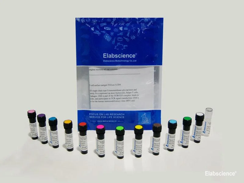 Antibodies