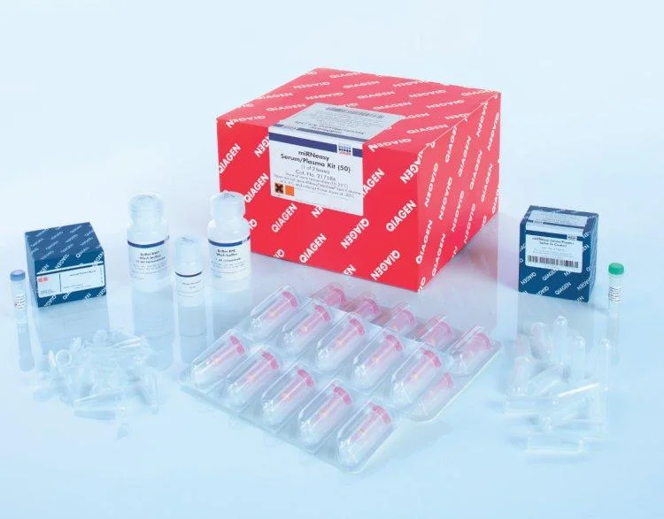RNA Extraction & Purification